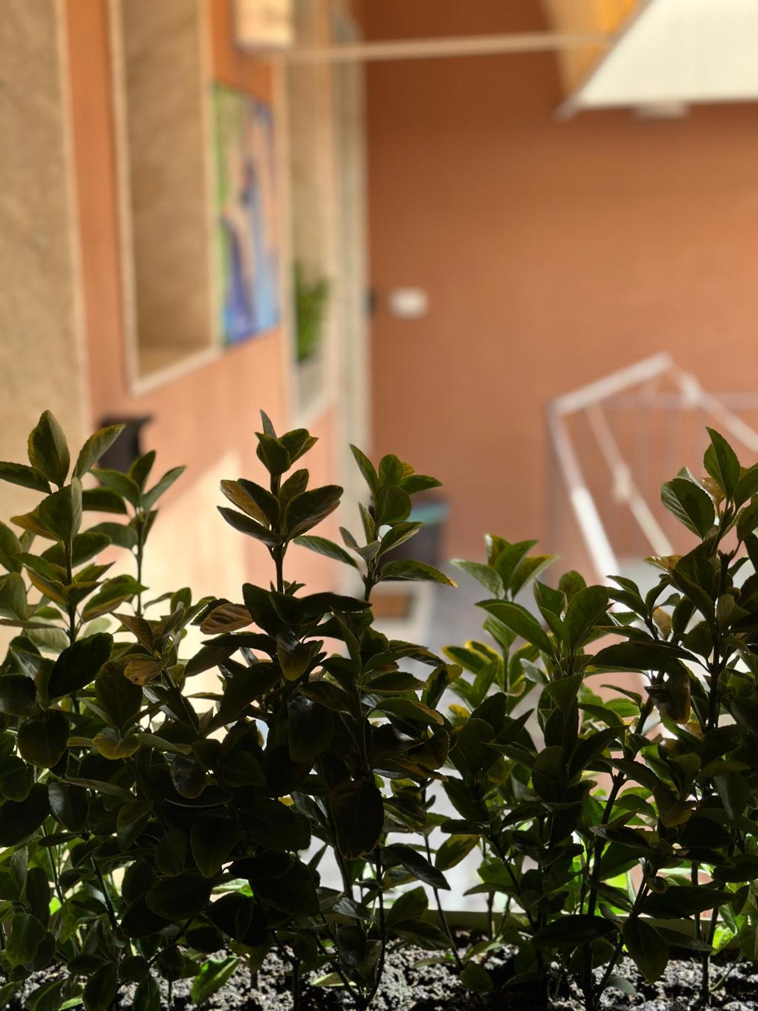 Le Camere Luxury Rooms Siracusa Сиракуза Екстериор снимка