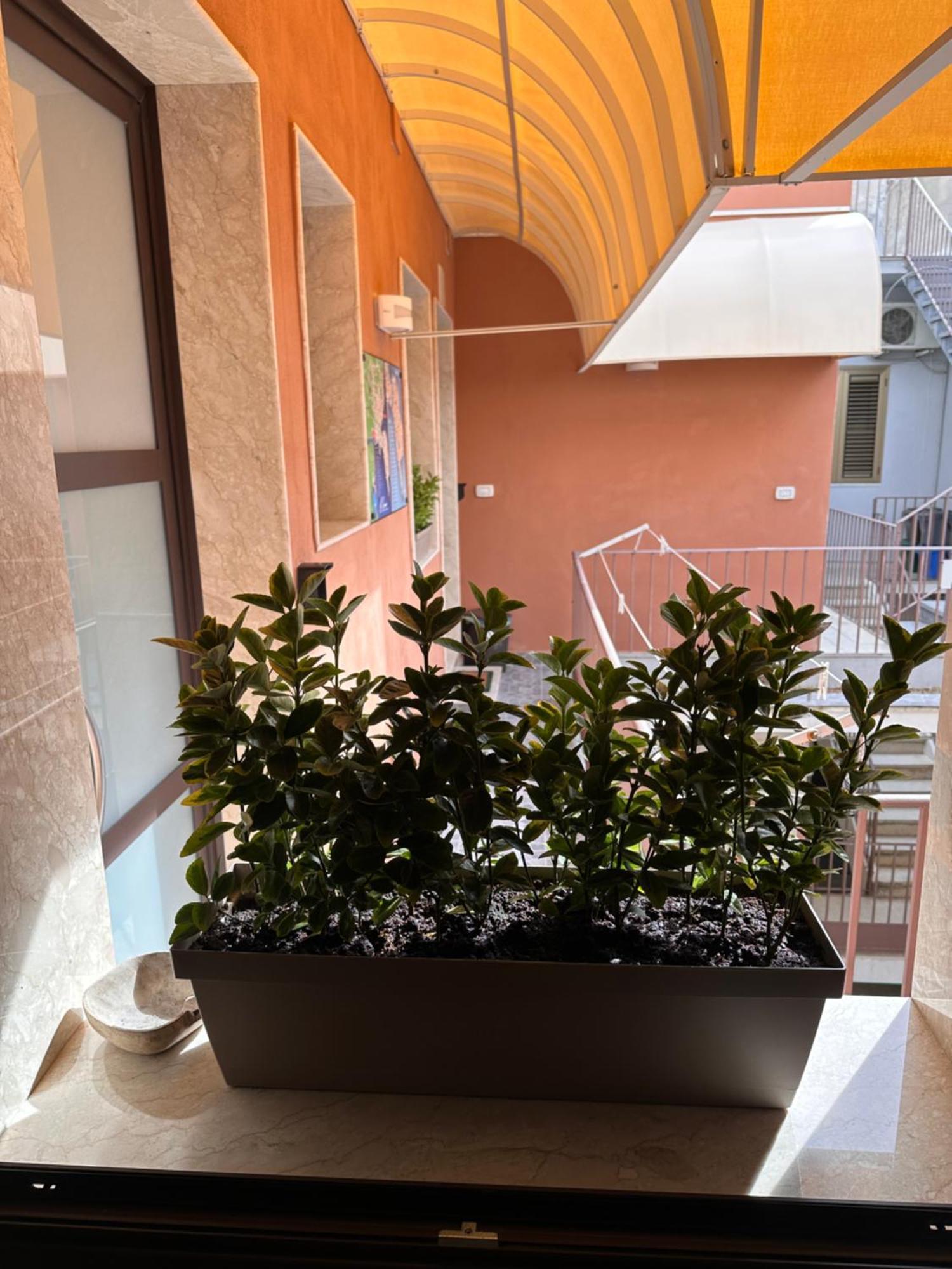 Le Camere Luxury Rooms Siracusa Сиракуза Екстериор снимка